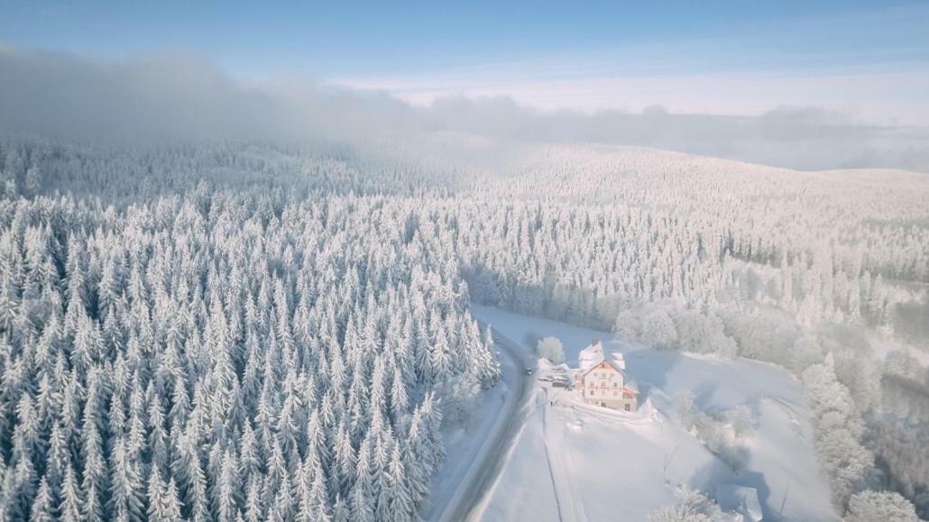 Przystanek Alaska ジェレニエツ エクステリア 写真